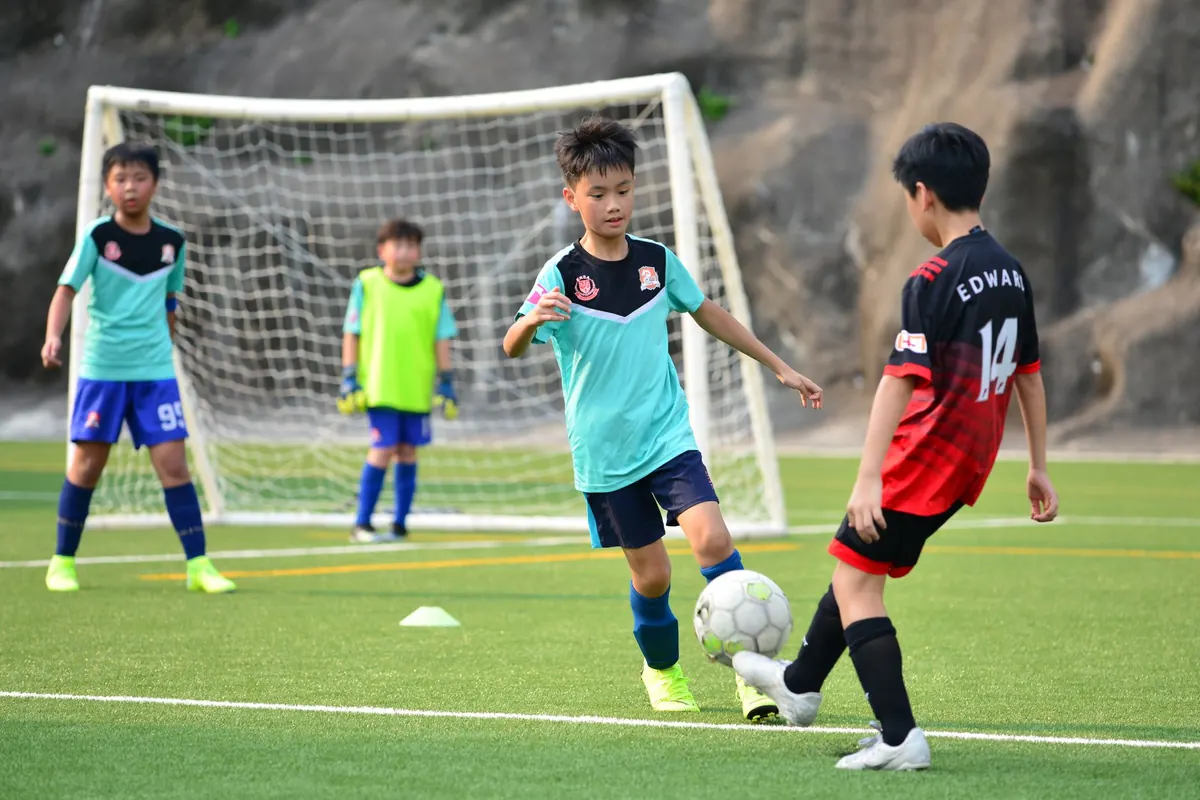 Comparing Elmwood's Summer Youth Sports Leagues: Baseball, Soccer, and Swim Teams