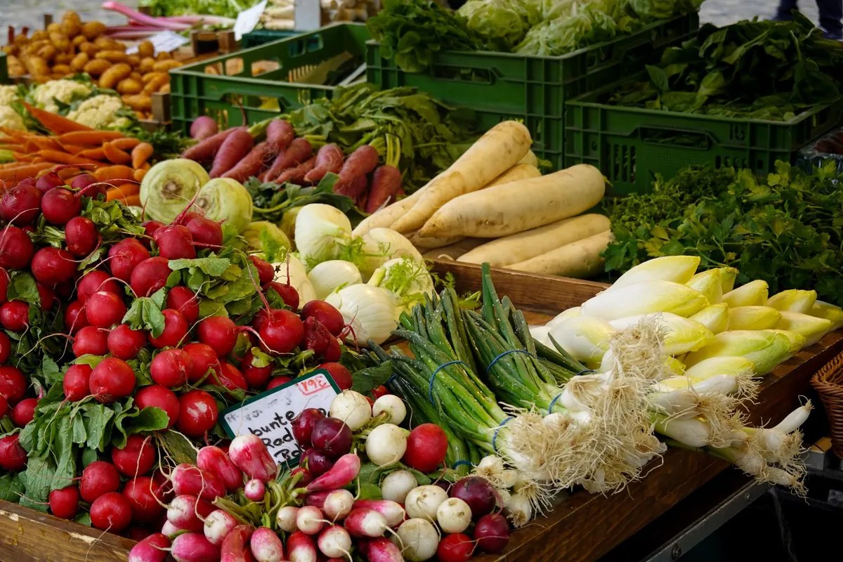 Elmwood Farmers Market 2025: Opening Day, Hours, Vendors, and Parking
