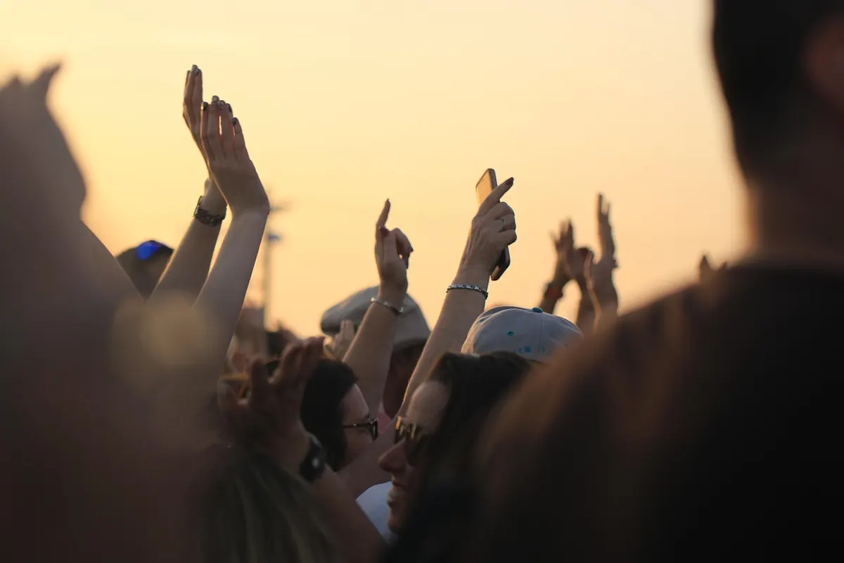 Elmwood Summer Concert Series 2025: Full Lineup, Parking, and What to Bring
